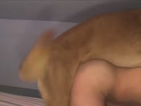 Male with pierced nipples fucks with his own dog 